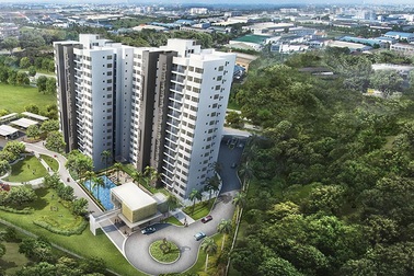 Bất động sản Bình Dương khởi sắc nhờ TPP