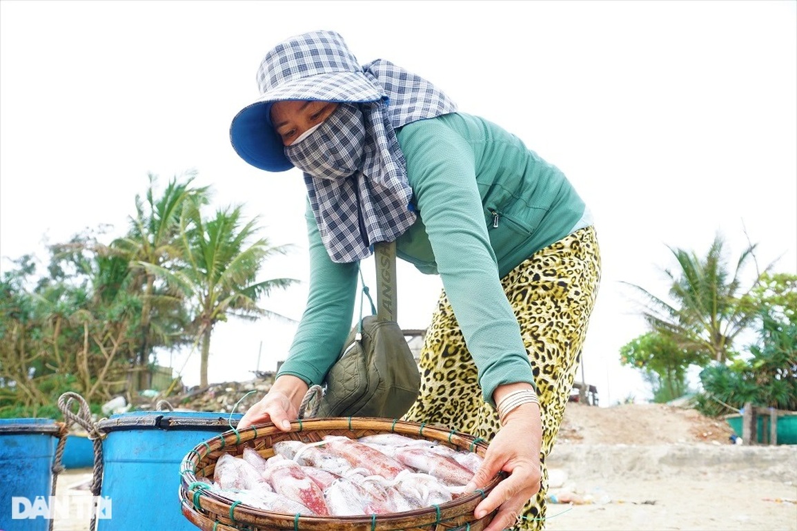 Ra khơi lấy ngày, ngư dân bất ngờ trúng đậm lộc biển - 3 Ra khơi lấy ngày, ngư dân bất ngờ trúng đậm lộc biển - 3