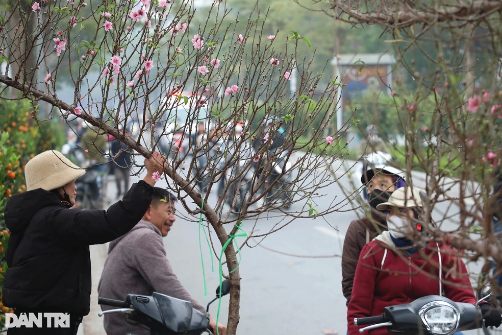 Không khí Tết xưa và nay