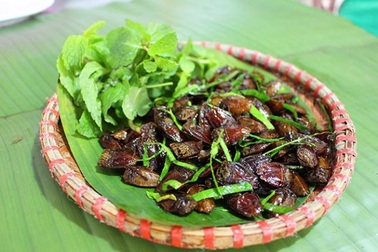 Điểm tên những món đặc sản "kỳ dị" của Việt Nam được nhiều người săn lùng