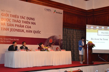 Củ Thiên ma - “Dược liệu trời ban” của xứ Kim Chi