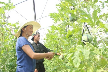 Đào tạo nghề cho gần 7.000 lao động giai đoạn 2010-2020