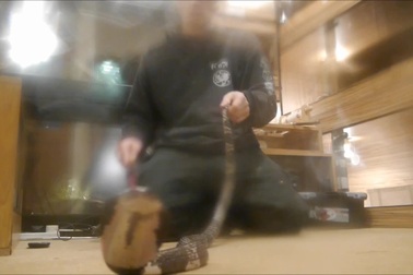 Khoảnh khắc rắn hổ mèo hung dữ phun nọc độc về phía camera