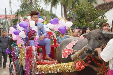 Độc đáo đám cưới rước dâu bằng xe trâu ở Thanh Hóa