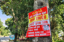 Đất nền ven đô giảm giá 40-50% so với đỉnh, đã nên mua?