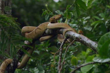 Những địa danh đáng sợ trên Trái đất ít người dám "bén mảng"