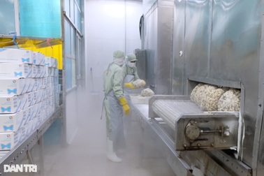 Dùng nhiều "chiêu" thu hút, doanh nghiệp vẫn khó tuyển lao động