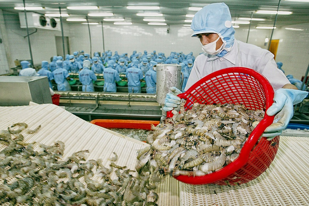 Sau một năm bỏ thuế với EU, người Việt vẫn khát hàng giá rẻ châu Âu - 1 Sau một năm bỏ thuế với EU, người Việt vẫn khát hàng giá rẻ châu Âu - 1