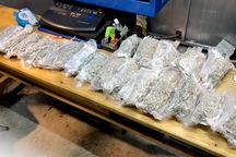 Hơn 5kg cần sa được hút chân không gửi từ Canada về Việt Nam