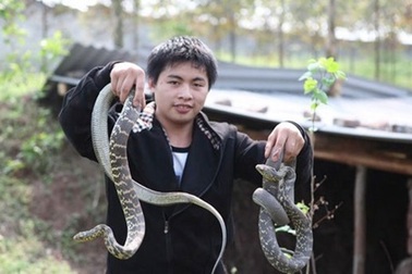 Khám phá “vương quốc rắn” lớn nhất ở Trung Quốc