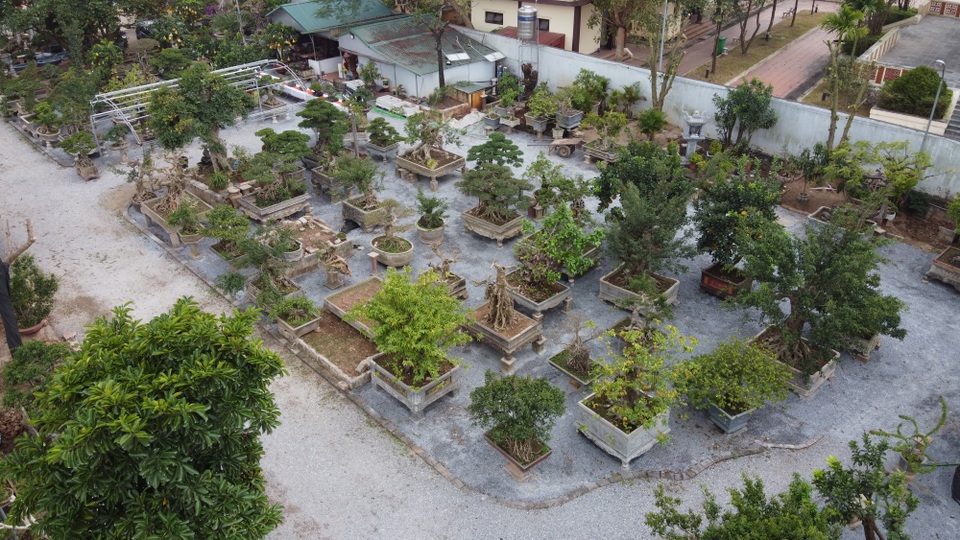 Hoa mắt trước khu vườn triệu đô của ông vua cây cảnh - 2 Hoa mắt trước khu vườn triệu đô của ông vua cây cảnh - 2