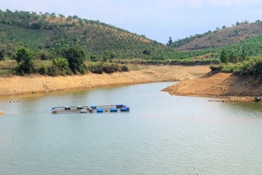 Hai người đàn ông tử vong dưới hồ thuỷ lợi ở Lâm Đồng