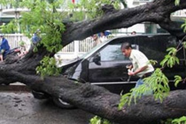 TPHCM: Dông lốc phá hỏng nhiều xe cộ, nhà cửa