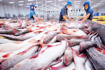 "Vua cá" Vĩnh Hoàn bỏ trăm tỷ vào cổ phiếu bất động sản, tạm lỗ 39 tỷ đồng