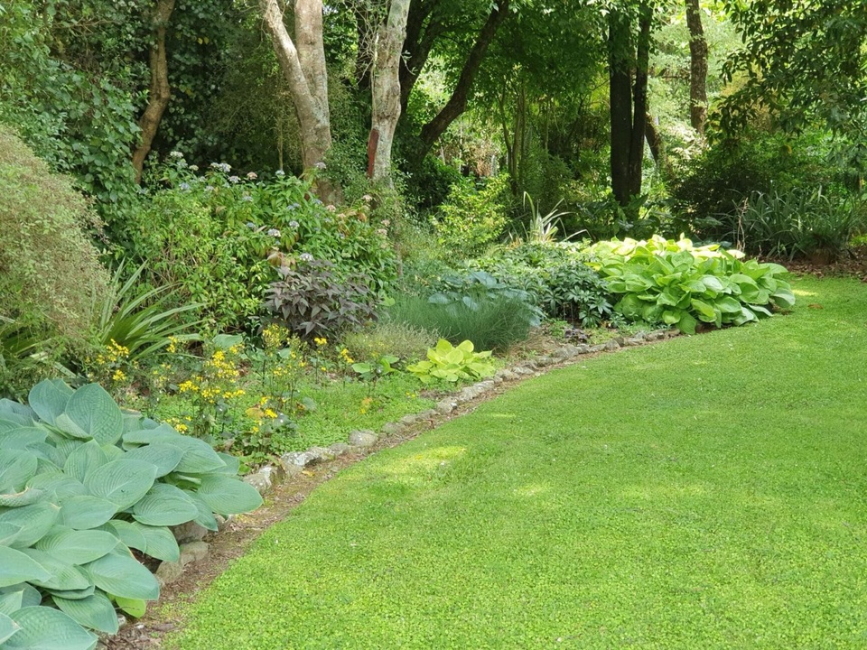 Biến chỗ nuôi gà cũ nát thành thiên đường xanh mát hút các loài chim - 6