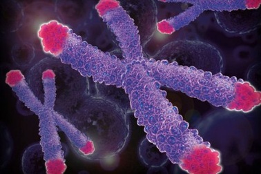 Điều trị thành công bệnh nhân bị tích lũy đồng, xơ hóa gan