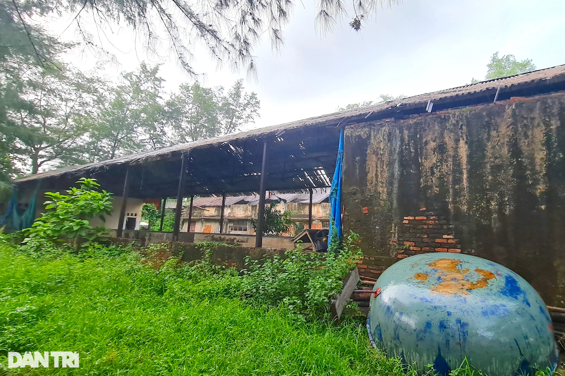 Nhếch nhác ở bãi biển Cửa Lò: Khiếp sợ với những khu nhà bị bỏ hoang - 8 Nhếch nhác ở bãi biển Cửa Lò: Khiếp sợ với những khu nhà bị bỏ hoang - 8