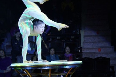 67 nghệ sĩ so tài tại cuộc thi Tài năng diễn viên xiếc toàn quốc 2018