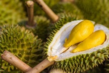 Thủ tướng có chỉ đạo "nóng" về xuất khẩu sầu riêng