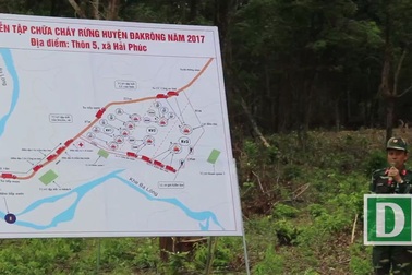 Hơn 300 người tham gia diễn tập dập tắt đám cháy lớn trong rừng