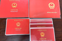 Phát hiện hàng chục văn bằng, chứng chỉ giả của sinh viên