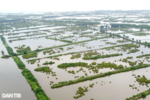 Thái Bình sẽ xác định lại diện tích Khu bảo tồn Tiền Hải trên thực địa