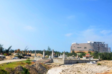 Hiện tượng lạ ở khu rừng phòng hộ ven biển: Do buông lỏng quản lý