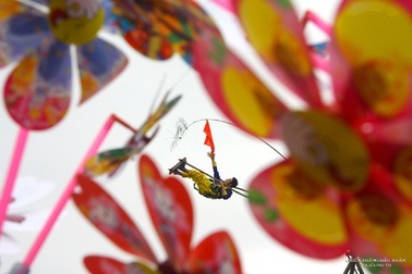 Những góc nhìn lạ về mùa Xuân ở cố đô Huế