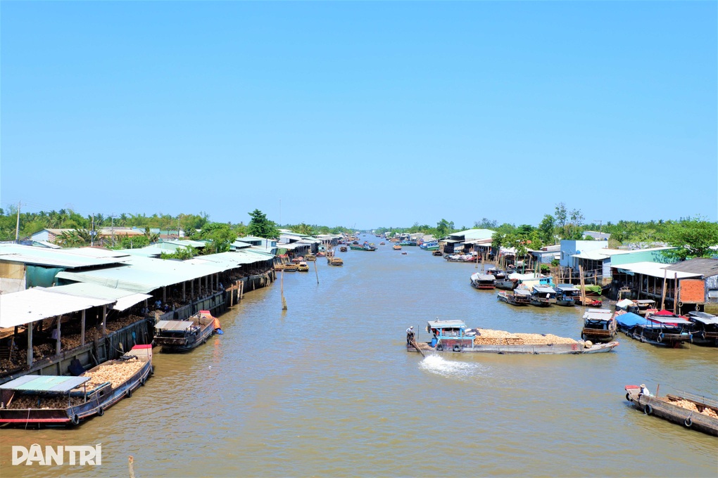 Dừa giống sốt hàng, tăng giá gấp đôi, nhà vườn săn lùng không gom đủ đơn - 1 Dừa giống sốt hàng, tăng giá gấp đôi, nhà vườn săn lùng không gom đủ đơn - 1