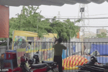 Kiểm lâm thổi ống tiêu chứa thuốc mê bắt đàn khỉ quậy phá ở Sài Gòn