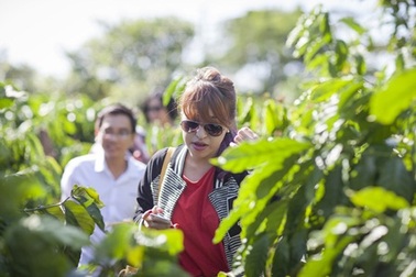 Phan Ý Yên: Đối với tôi, cà phê là tín ngưỡng cá nhân