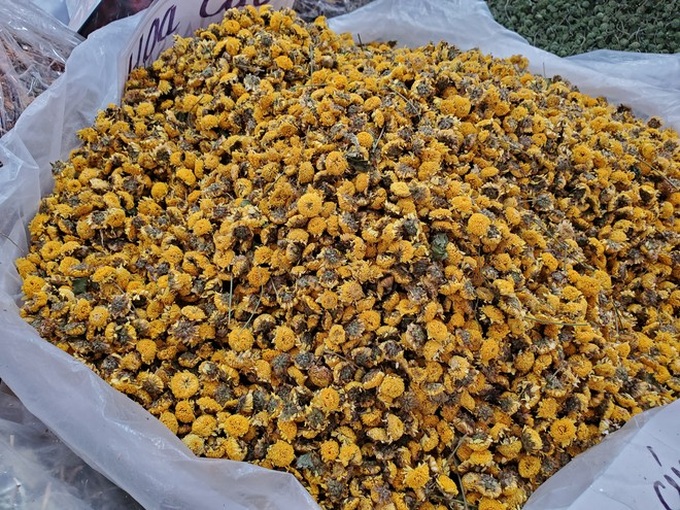Hoa tam thất hàng hiếm rao giá bạc triệu vẫn được săn đón - Ảnh 4. Hoa tam thất hàng hiếm rao giá bạc triệu vẫn được săn đón - Ảnh 4.