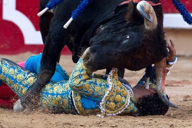 Thử cảm giác mạnh với lễ hội đấu bò tót