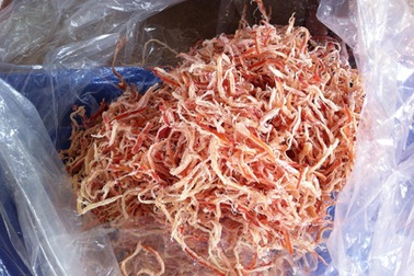 Bắt giữ hàng tấn mực khô có độ đàn hồi như… dây thun