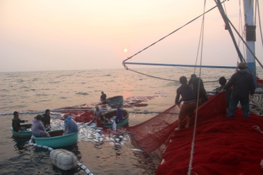 Ngư dân Quảng Trị phấn khởi vươn khơi đánh bắt vụ cá mới