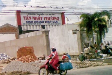 Vừa bị xử phạt vi phạm môi trường, doanh nghiệp tiếp tục xả thải