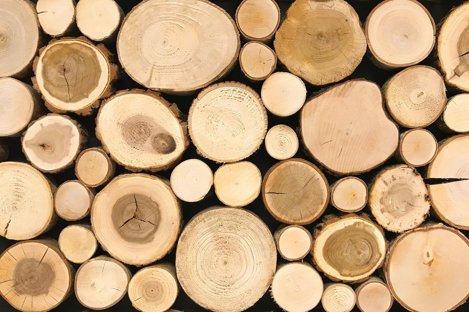 Kinh nghiệm chọn mua sàn gỗ Teak sử dụng ngoài trời - 1 Kinh nghiệm chọn mua sàn gỗ Teak sử dụng ngoài trời - 1