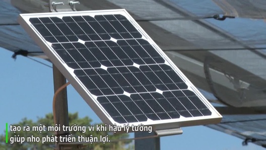 Công nghệ độc đáo nông dân làm mái che pin mặt trời giúp tăng năng suất