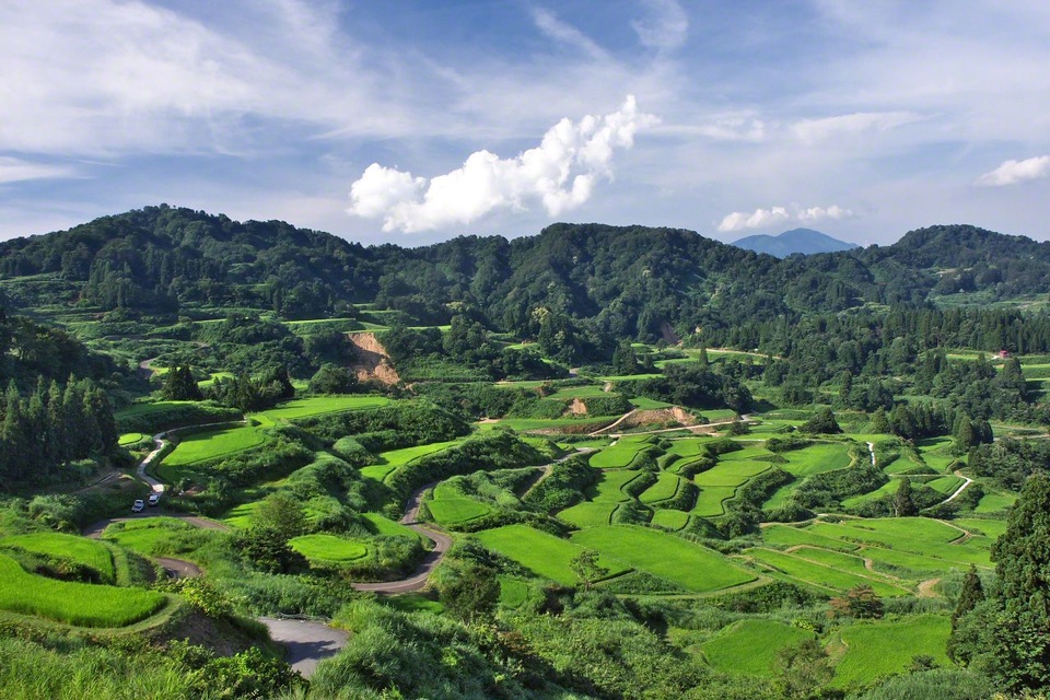 Vẻ đẹp hoang sơ của những cánh đồng ruộng bậc thang tại Nhật - 8 Vẻ đẹp hoang sơ của những cánh đồng ruộng bậc thang tại Nhật - 8
