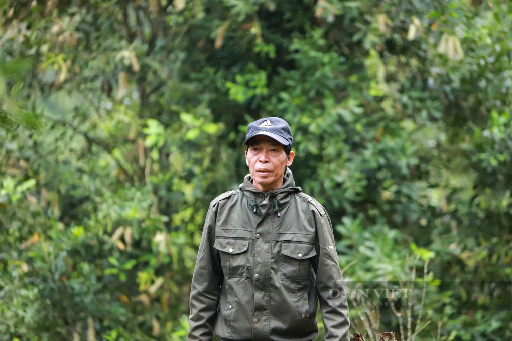 Ông kỹ sư xây dựng điên trồng loại cây lạ ra nữ hoàng quả khô khiến cả làng bái phục - 2 Ông kỹ sư xây dựng điên trồng loại cây lạ ra nữ hoàng quả khô khiến cả làng bái phục - 2