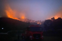 Huy động gần 500 người xuyên đêm chữa cháy rừng ở Nghệ An