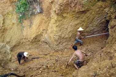 "Cấm cửa" doanh nghiệp "bịp" Sở Nông nghiệp vào đào xới rừng phòng hộ