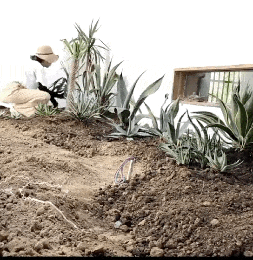 Chán cuộc sống phố thị, cô gái lên núi làm căn nhà nhỏ ngập hoa lá - 11