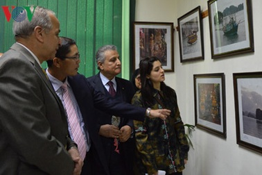 Sôi động ngày văn hóa Việt Nam tại tỉnh Qalyubia, Ai Cập