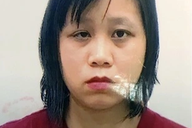 Cựu nhà báo tống tiền doanh nghiệp xin hoãn tòa vì đang mang thai