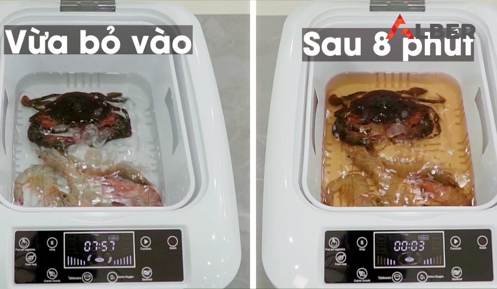 Máy zone Alber làm sạch và khử độc thực phẩm an toàn - 5 Máy zone Alber làm sạch và khử độc thực phẩm an toàn - 5