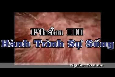 Phần 3: Hành trình tìm sự sống