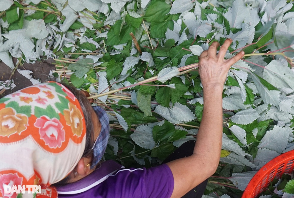 Kiếm trăm nghìn khỏe re mỗi ngày từ thứ bánh đen như bóng đêm - 4 Kiếm trăm nghìn khỏe re mỗi ngày từ thứ bánh đen như bóng đêm - 4