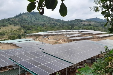 Đắk Lắk:  Báo động tình trạng trá hình dự án nông nghiệp làm điện mặt trời