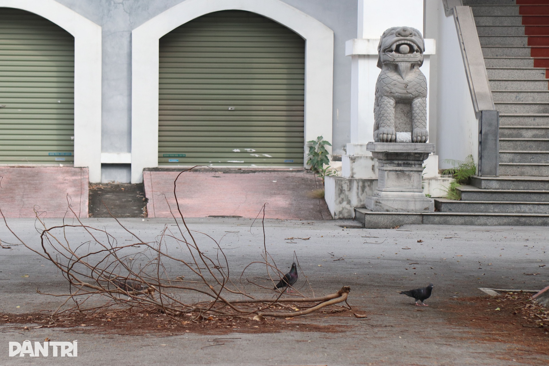 Nhiều trụ sở dôi dư ở vị trí đắc địa của Hải Phòng sắp thành trường học - 6